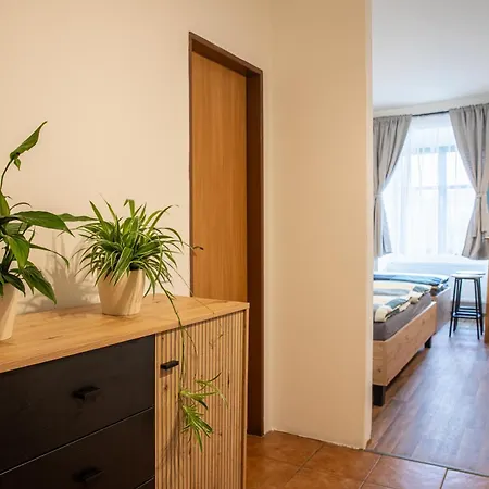 Paris Velvary